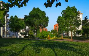 河南408分考生都可以填报哪些公办大学？ 2025年高考可以填报38所大学