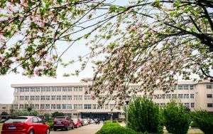 山东考生513分左右能考上什么好公办本科大学？（附带2022-2024年513录取名单）
