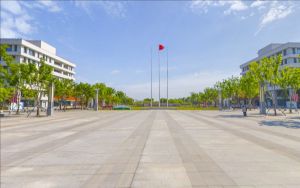 重庆高考多少分报考内蒙古大学？附2022-2024年最低录取分数线