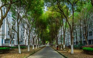 黑龙江544分考生都可以填报哪些公办大学？（附带2022-2024年544左右高校名单）