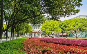 海南高考多少分报考西安交通工程学院？附2022-2024年院校最低投档线