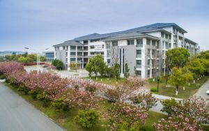 辽宁考生541分左右可以报考那些大学？（附带2022-2024年541左右高校名单）