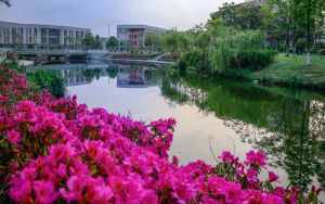 江西高考多少分能录取德阳科贸职业学院？2024年历史类录取分296分 物理类投档线240分