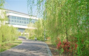 天津高考536分左右的可以报考的本科大学名单！（附带2022-2024年536左右大学名单）