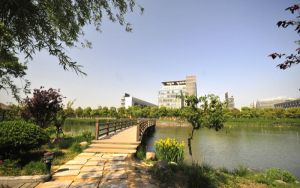 江西新能源科技职业学院2024年录取最低分数线公布：广东考生2025年参考