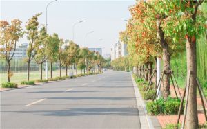 北京高考多少分能考上东北农业大学？附2022-2024年最低录取分数线