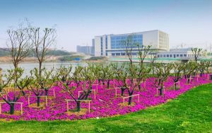 上海高考多少分报考四川农业大学？附2022-2024年最低录取分数线