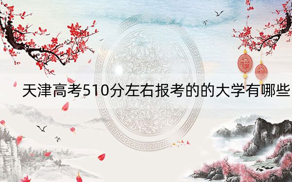 天津高考510分左右报考的的大学有哪些？（附带2022-2024年510录取大学名单）