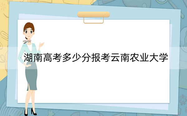 湖南高考多少分报考云南农业大学？附2022-2024年最低录取分数线