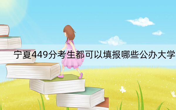 宁夏449分考生都可以填报哪些公办大学？ 2024年有27所录取最低分449的大学