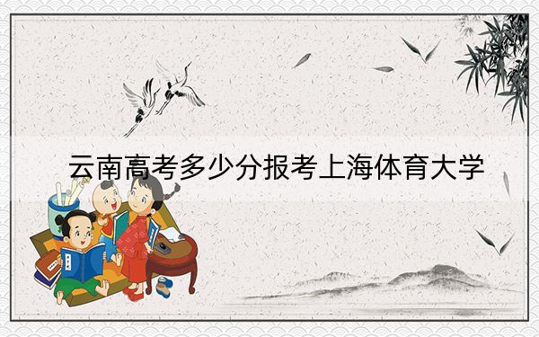 云南高考多少分报考上海体育大学?2024年文科564分 理科录取分505分
